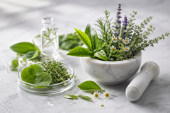 Plant extracts