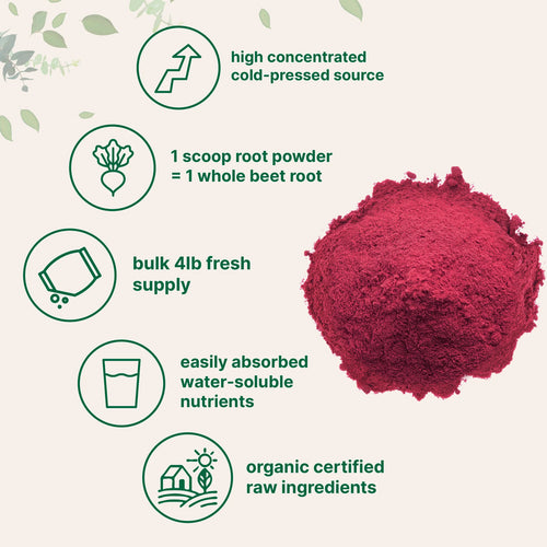 MicroIngredients Organic Beet Root Powder
